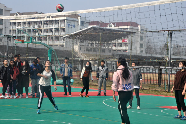 2017.11.15排球比赛刘晓林_02.jpg 2017.11.15排球比赛刘晓林_02.jpg